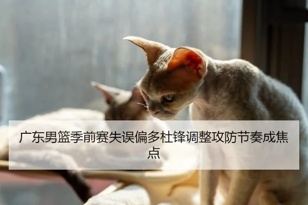 广东男篮季前赛失误偏多杜锋调整攻防节奏成焦点