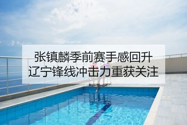 张镇麟季前赛手感回升 辽宁锋线冲击力重获关注